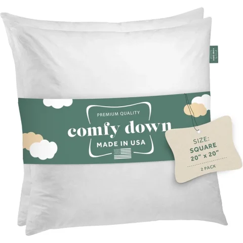 Decorative Down Feathers Fill Square Pillow Insert (Set of 2)