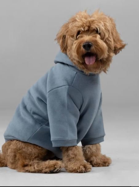 Signature Paw Hoodie