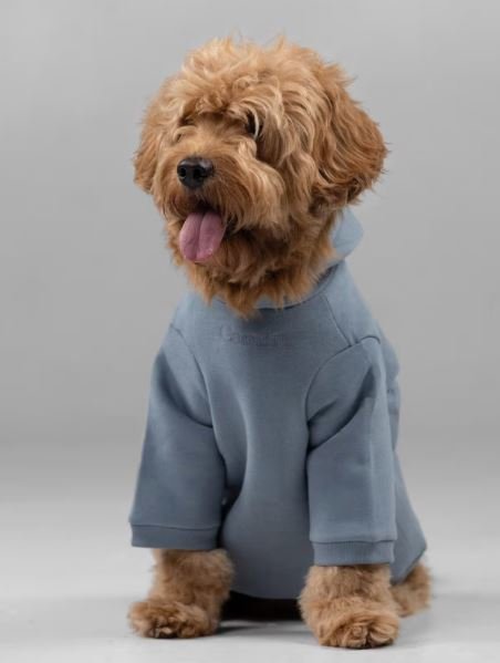 Signature Paw Hoodie