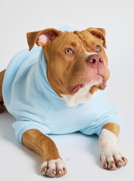 Pastel Paw Print Hoodie for Everyday Street Style