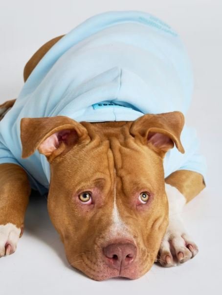 Pastel Paw Print Hoodie for Everyday Street Style
