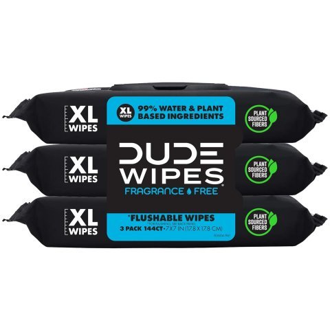 DUDE Wipes Unscented Flushable Wipes | Extra Large Adult Wet Wipes for Sensitive Skin and Everyday Freshness