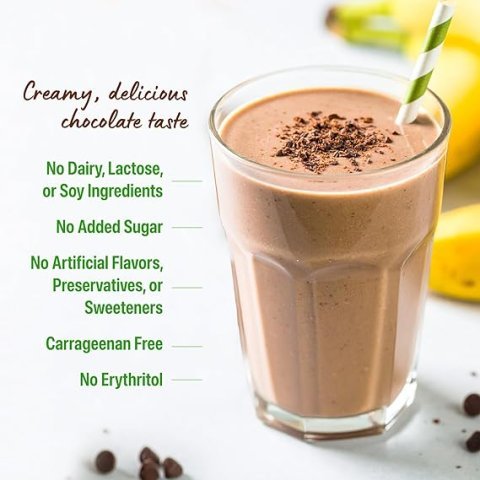 Organic Vegan Protein Powder, Creamy Chocolate Fudge | 21g Plant Protein