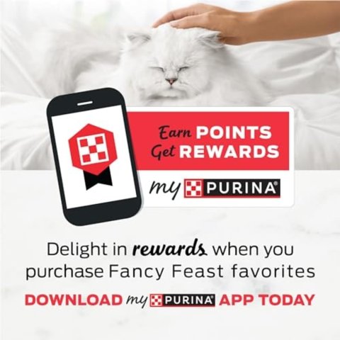 Buy Purina Fancy Feast Gravy Lovers Wet Cat Food Variety Pack 30 Cans | Gourmet Poultry and Beef Cat Food in Rich Gravy