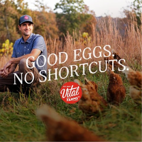 organic eggs, organic egg pasture raised, organic eggs near me, organic egg nutrition facts
