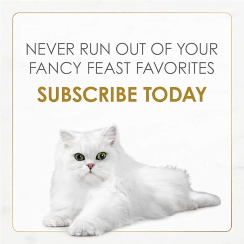 Buy Purina Fancy Feast Gravy Lovers Wet Cat Food Variety Pack 30 Cans | Gourmet Poultry and Beef Cat Food in Rich Gravy