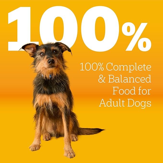 Buy Pedigree Adult Dry Dog Food Grilled Steak & Vegetable Flavor 18 lb Bag | Complete Nutrition Dog Food for Healthy Adult Dogs