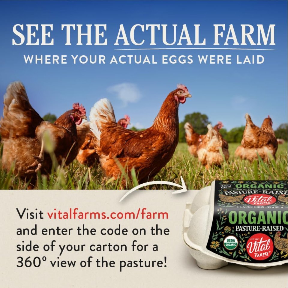 organic eggs, organic egg pasture raised, organic eggs near me, organic egg nutrition facts