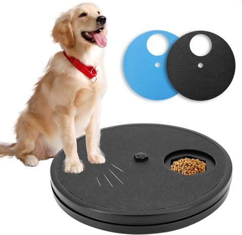 Buy Dog Nail Scratch Board | Stress-Free Interactive File
