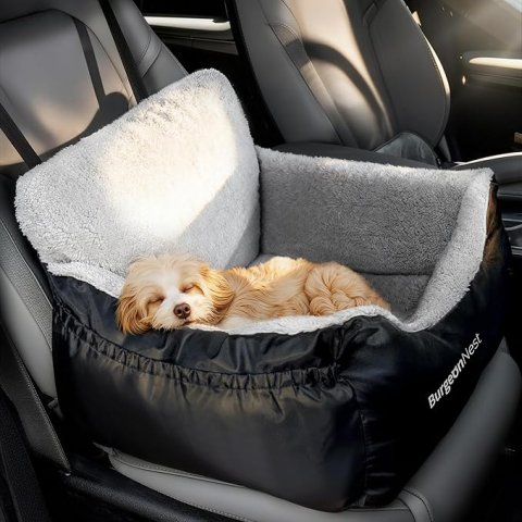 Buy BurgeonNest Dog Car Seat for Small Dogs Online | Soft Washable Pet Booster Car Seat with Storage Pockets & Safety Leash
