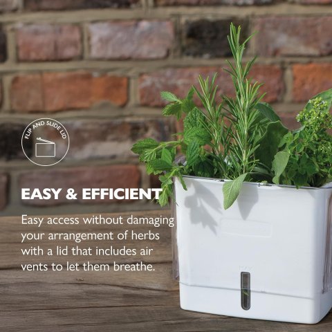 Buy Cole & Mason Fresh Herb Keeper Online | Acrylic Herb Storage Container for Refrigerator | Herb & Vegetable Freshness Saver