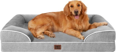 Buy EHEYCIGA Orthopedic Dog Bed for Extra Large Dogs Online | Waterproof Memory Foam XL Pet Bed with Bolsters & Washable Cover 44" x 32" Grey