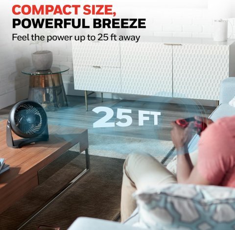 Buy Honeywell TurboForce Air Circulator Fan HT900 Online | Quiet Personal Tabletop Fan with 3 Speeds & 90° Pivoting Head