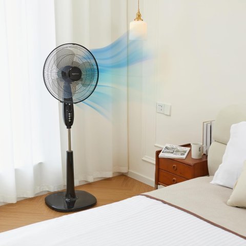 Buy Amazon Basics 16-Inch Pedestal Fan with Remote Online | Adjustable Standing Fan with 3 Speeds, Timer & Dual-Blade Cooling | Black