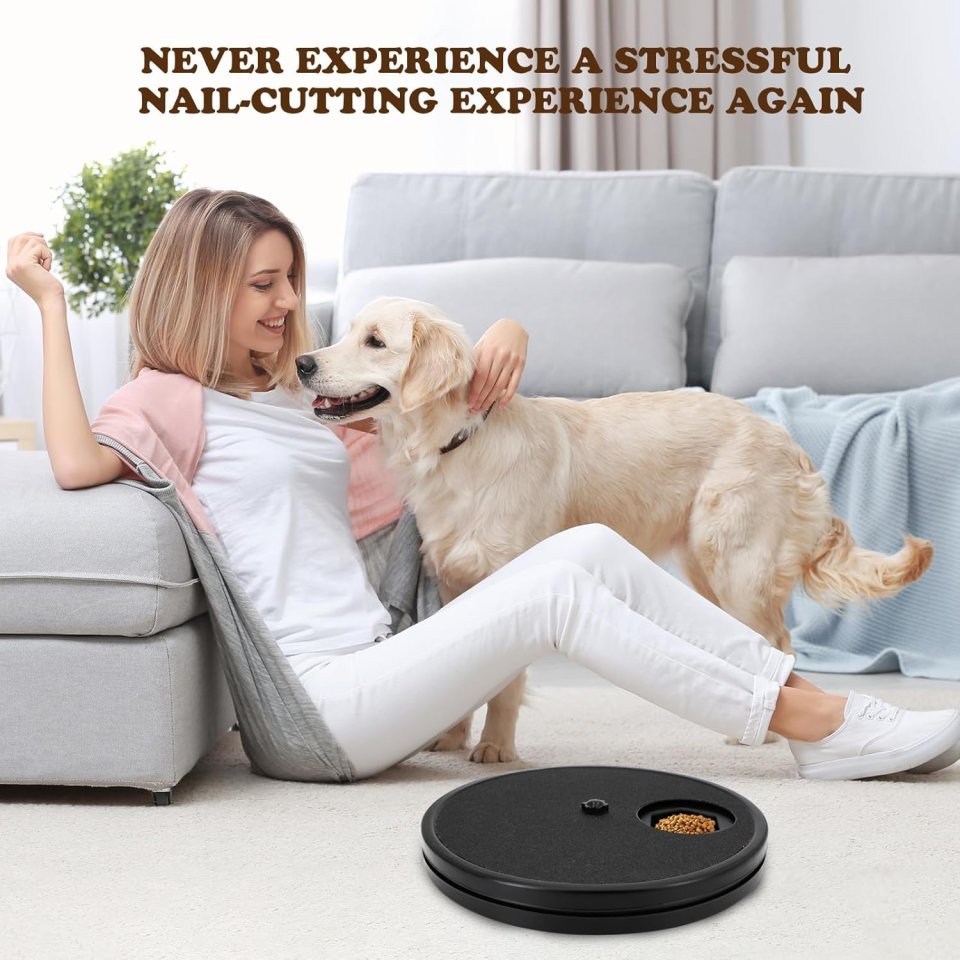 Buy Dog Nail Scratch Board | Stress-Free Interactive File