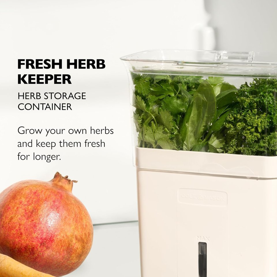 Buy Cole & Mason Fresh Herb Keeper Online | Acrylic Herb Storage Container for Refrigerator | Herb & Vegetable Freshness Saver