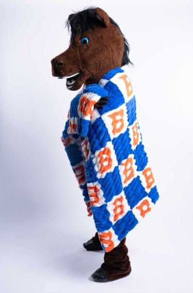 Buy Boise State Broncos Hugs Blanket Online | Ultra Soft Plush NCAA Throw Blanket for Fans