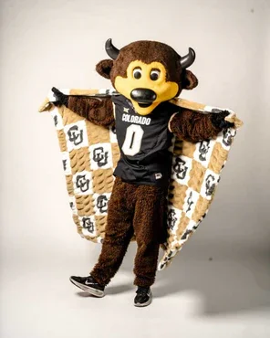 Buy Colorado Buffaloes Hugs Blanket Online | Ultra Soft Plush NCAA Throw Blanket for Fans