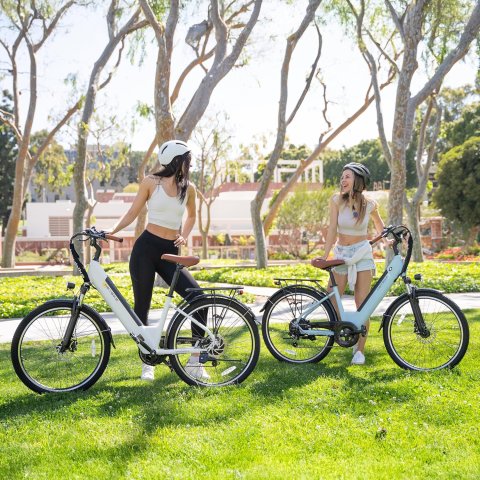 Buy Heybike Cityscape 2.0 Electric Bike for Adults Online | 1200W Peak Commuter E-Bike with Removable Battery