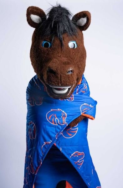 Buy Boise State Broncos Hooded Stadium Everywhere Blanket Online | Ultra Soft Wearable NCAA Hooded Blanket